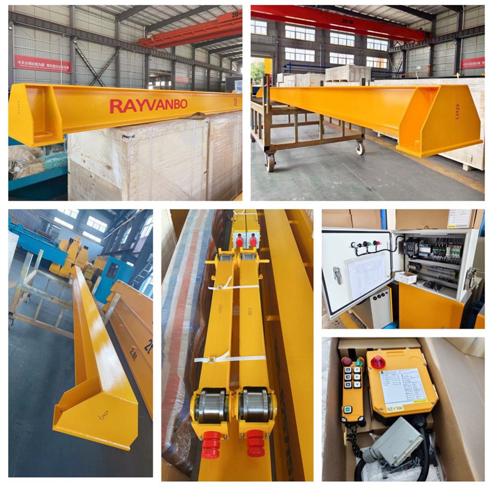 Bridge crane-rayvanbo9